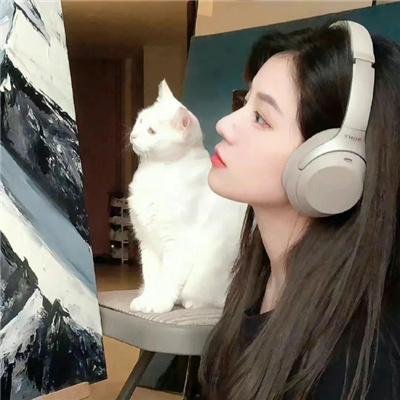 飞骑追踪